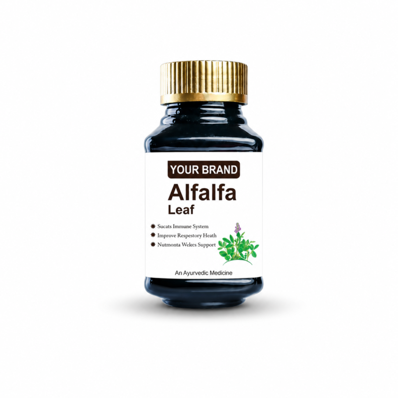 Alfafa Leaf