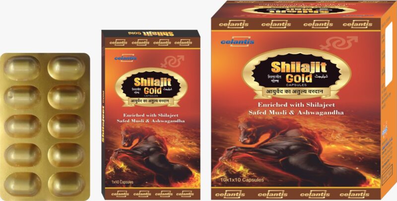 Shilajit Capsule