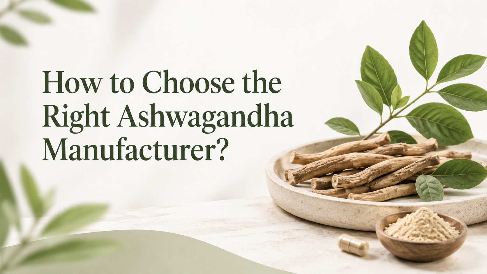 How to Choose the Right Ashwagandha Manufacturer?
